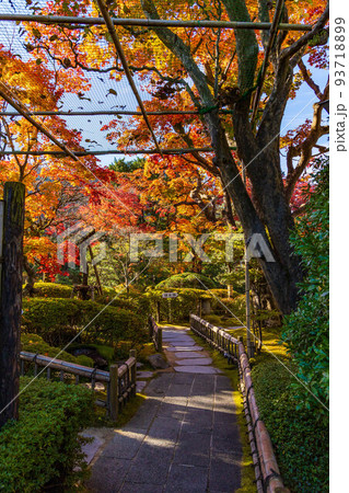世界遺産「日光の社寺」構成資産 日光山輪王寺 紅葉の逍遥園 世界遺産「日光の社寺」構成資産 日光山輪王寺 紅葉の逍遥園 93718899