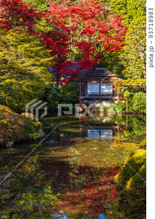 世界遺産「日光の社寺」構成資産　日光山輪王寺　紅葉の逍遥園 93718983