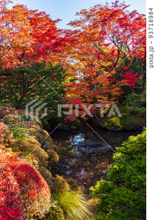 世界遺産「日光の社寺」構成資産　日光山輪王寺　紅葉の逍遥園 93718984