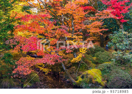 世界遺産「日光の社寺」構成資産 日光山輪王寺 紅葉の逍遥園 世界遺産「日光の社寺」構成資産 日光山輪王寺 紅葉の逍遥園 93718985