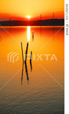 千葉県我孫子市側の手賀沼公園から見た手賀沼の夕暮れの風景(2021年12月24日撮影) 千葉県我孫子市側の手賀沼公園から見た手賀沼の夕暮れの風景(2021年12月24日撮影) 93719046