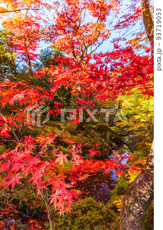 世界遺産「日光の社寺」構成資産 日光山輪王寺 紅葉の逍遥園 世界遺産「日光の社寺」構成資産 日光山輪王寺 紅葉の逍遥園 93719053