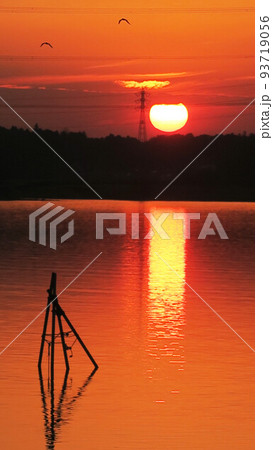 千葉県我孫子市側の手賀沼公園から見た手賀沼の夕暮れの風景(2021年12月24日撮影) 千葉県我孫子市側の手賀沼公園から見た手賀沼の夕暮れの風景(2021年12月24日撮影) 93719056
