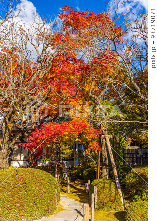 世界遺産「日光の社寺」構成資産　日光山輪王寺　紅葉の逍遥園 93719071