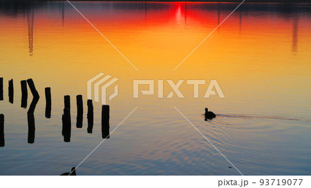 千葉県我孫子市側の手賀沼公園から見た手賀沼の夕暮れの風景(2021年12月24日撮影) 千葉県我孫子市側の手賀沼公園から見た手賀沼の夕暮れの風景(2021年12月24日撮影) 93719077