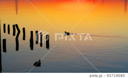 千葉県我孫子市側の手賀沼公園から見た手賀沼の夕暮れの風景(2021年12月24日撮影) 千葉県我孫子市側の手賀沼公園から見た手賀沼の夕暮れの風景(2021年12月24日撮影) 93719080