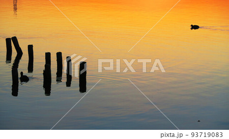 千葉県我孫子市側の手賀沼公園から見た手賀沼の夕暮れの風景（2021年12月24日撮影） 93719083