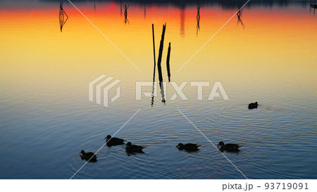 千葉県我孫子市側の手賀沼公園から見た手賀沼の夕暮れの風景（2021年12月24日撮影） 93719091