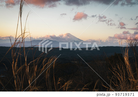 伊豆スカイライン・巣雲山駐車場から望む富士山 93719371