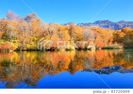 鎌池の紅葉 鎌池の紅葉 93720999