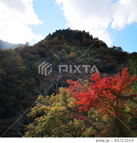 大柳川渓谷 93721014