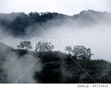 湖 湖上 一湖 93721622