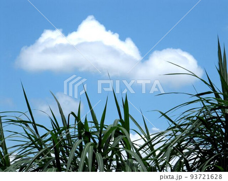 湖 湖上 一湖 93721628