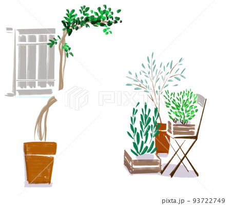 ハーブや蔦植物のイラスト 93722749