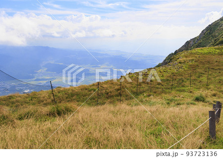 晩夏の伊吹山 93723136