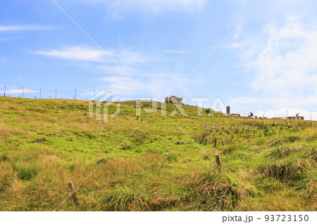 晩夏の伊吹山 93723150