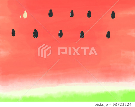 スイカ種あり スイカ種あり 93723224