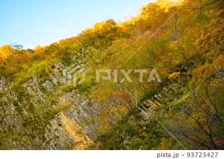 【新潟県　十日町市】清津峡 93723427