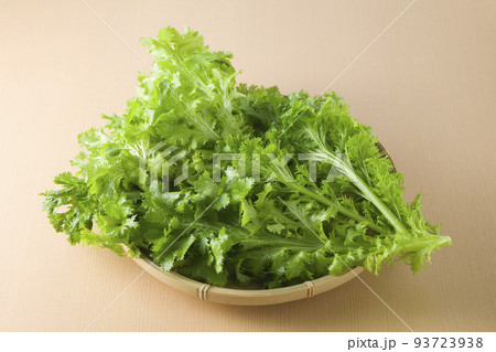 ザルに盛り付けたわさび菜 93723938
