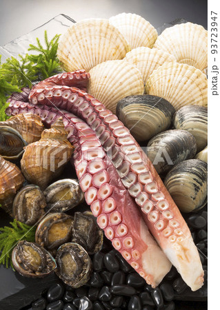 色々な貝と蛸足 93723947