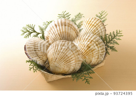 ざるに盛られた帆立貝 93724395