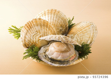 ざるに盛られた帆立貝 93724396
