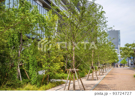 ゆりかもめ線「市場前」駅前の歩道 93724727