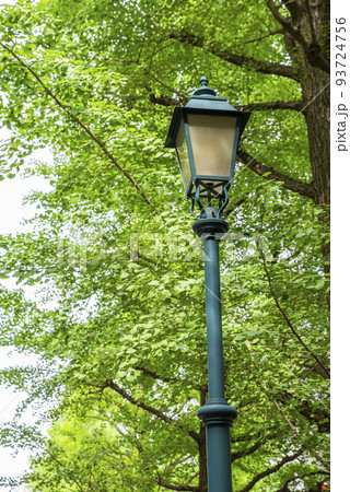 浜町公園の風景・並木道とレトロな街灯 93724756