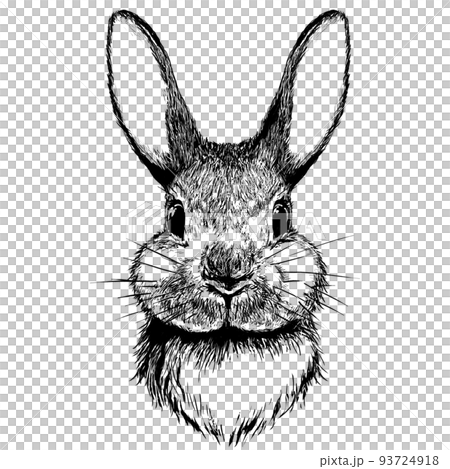 兔子剪貼畫 93724918