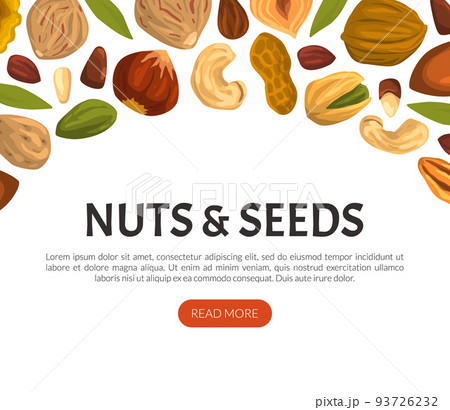 Landing Page with Nuts and Seeds Vector Web Banner Template Landing Page with Nuts and Seeds Vector Web Banner Template 93726232