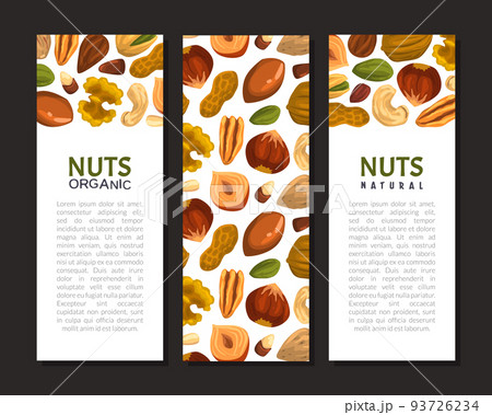 Nuts with Cashew and Almond Vector Banner Template Nuts with Cashew and Almond Vector Banner Template 93726234