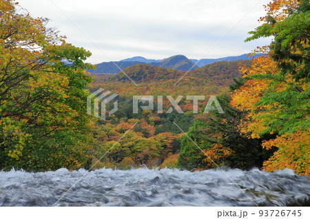 奥日光の紅葉 湯滝の滝上からの眺望 栃木県日光市 奥日光の紅葉 湯滝の滝上からの眺望 栃木県日光市 93726745