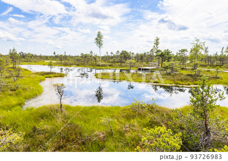 Resting area at the Great Kemeri Bog swamp at the Kemeri National Park in Latvia Resting area at the Great Kemeri Bog swamp at the Kemeri National Park in Latvia 93726983