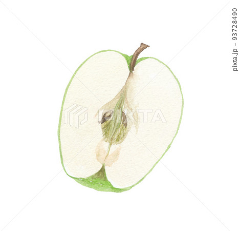林檎　リンゴ　断面 93728490