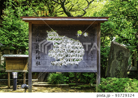 東京都 「牛天神」北野神社 牛のおみくじ結び 東京都 「牛天神」北野神社 牛のおみくじ結び 93729324