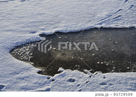 冬のウトナイ湖の凍結する湖面 冬のウトナイ湖の凍結する湖面 93729509