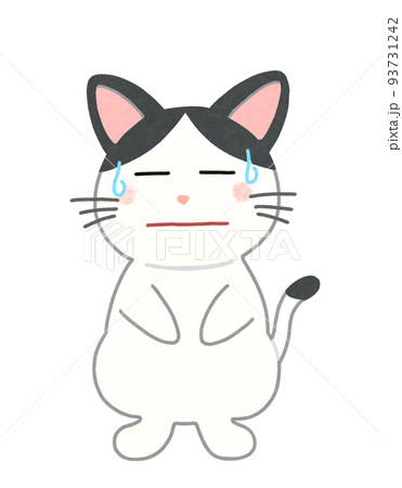 困った顔の猫のイラスト 輪郭=一部実線&カラー 白黒ハチワレ猫 困った顔の猫のイラスト 輪郭=一部実線&カラー 白黒ハチワレ猫 93731242