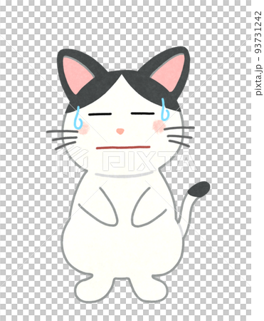 困った顔の猫のイラスト 輪郭=一部実線&カラー 白黒ハチワレ猫 困った顔の猫のイラスト 輪郭=一部実線&カラー 白黒ハチワレ猫 93731242