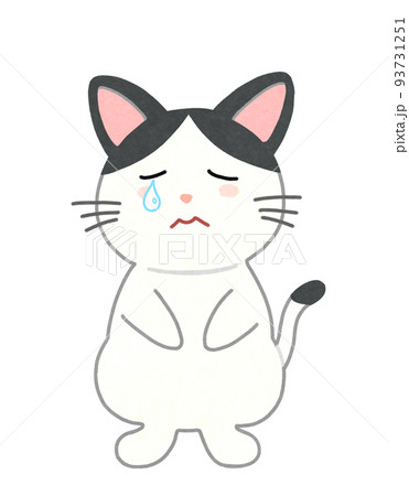 泣き顔の猫のイラスト 輪郭=一部実線&カラー 白黒ハチワレ猫 泣き顔の猫のイラスト 輪郭=一部実線&カラー 白黒ハチワレ猫 93731251