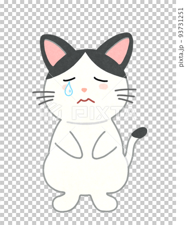 泣き顔の猫のイラスト 輪郭=一部実線&カラー 白黒ハチワレ猫 泣き顔の猫のイラスト 輪郭=一部実線&カラー 白黒ハチワレ猫 93731251