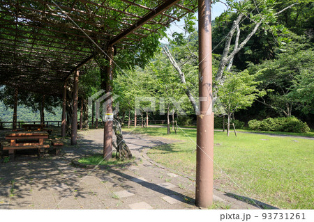 東京都　奥多摩町　夏　奥多摩湖　小河内ダム　南岸休憩所 93731261