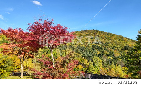 第四展望台の紅葉【北海道・札幌】 第四展望台の紅葉【北海道・札幌】 93731298