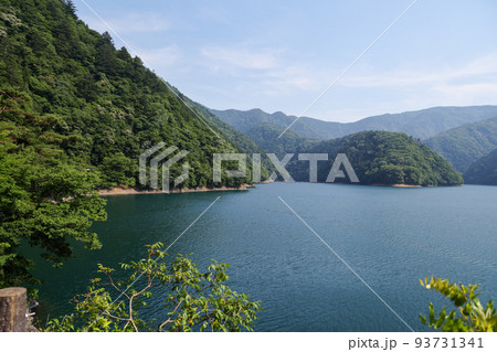 東京都　奥多摩町　夏　奥多摩湖いこいの路からの眺め 93731341