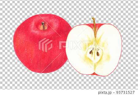 用彩色鉛筆繪製的富士蘋果的整體和橫截面 93731527