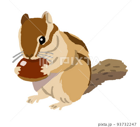 栗を食べるシマリス（手描きカラー） 93732247