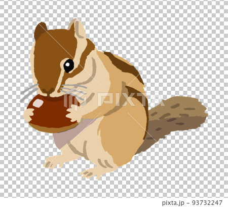 栗を食べるシマリス（手描きカラー） 93732247
