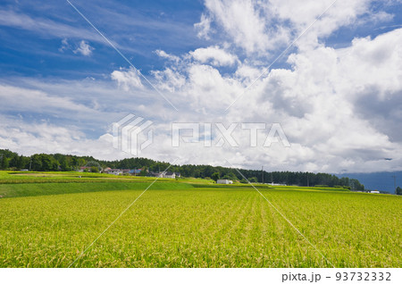 茅野市の田園風景　原風景 93732332