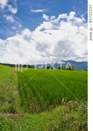 茅野市の田園風景 原風景 茅野市の田園風景 原風景 93732337