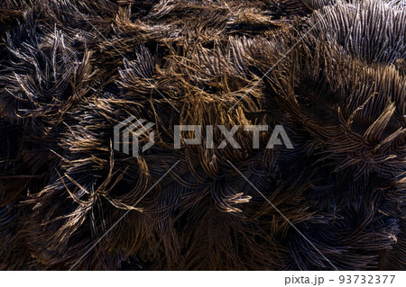 Brown ostrich feathers and down 93732377