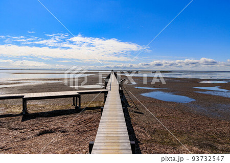 野付半島のトドワラ桟橋「秋の北海道」 93732547